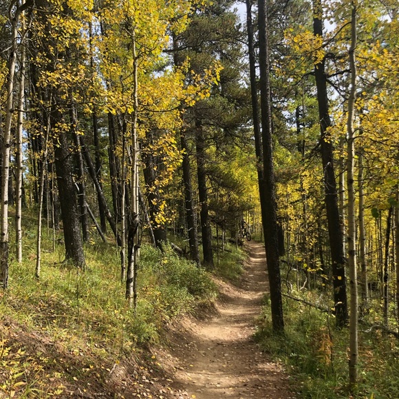 Meet your Posher, Ashley - Picture 1 of 1